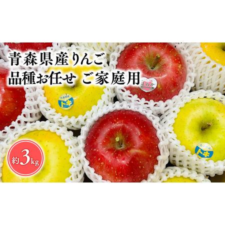 ふるさと納税 2025年5〜6月発送! ! 品種お任せ 旬のりんご詰め合わせ3kg訳あり家庭用【...