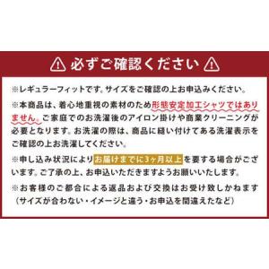 ふるさと納税 HITOYOSHI シャツ 定番...の詳細画像2