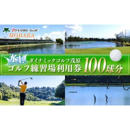 ふるさと納税 R00-001 ダイナミックゴルフ 練習場利用券（100球分） 千葉県長生村