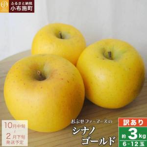 ふるさと納税 【訳あり】 シナノゴールド 約3k...の商品画像
