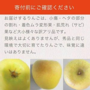 ふるさと納税 【訳あり】 シナノゴールド 約3...の詳細画像1