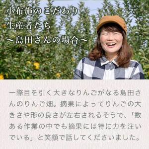 ふるさと納税 【訳あり】 シナノゴールド 約3...の詳細画像2