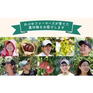ふるさと納税 【訳あり】 シナノゴールド 約3...の詳細画像4