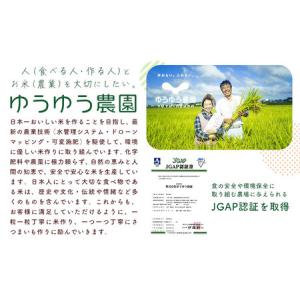 ふるさと納税 干し芋 ゆうゆう農園の極ほしいも...の詳細画像1