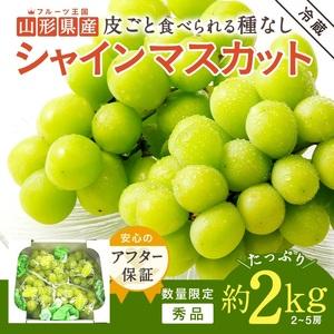 ふるさと納税 山形のぶどう(シャインマスカット)約2kg（2〜5房）_H063(R5)
