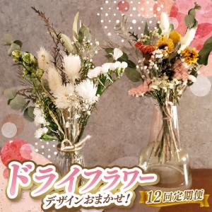 ふるさと納税 12か月 定期便 デザイン おまかせ ドライフラワー | お花 長さ約18cm〜約20cm 10本〜 リトルシード 東京都調布市