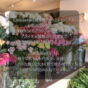 ふるさと納税 12か月 定期便 デザイン おま...の詳細画像1