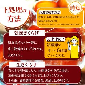 ふるさと納税 【定期12回】贈答用乾燥きくらげ...の詳細画像3