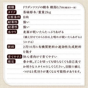 ふるさと納税 植木 ドウダンツツジ 0.7m ...の詳細画像2