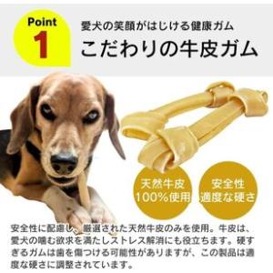 ふるさと納税 くいしんぼ デンタルガム 骨型(...の詳細画像1