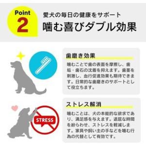 ふるさと納税 くいしんぼ デンタルガム 骨型(...の詳細画像2