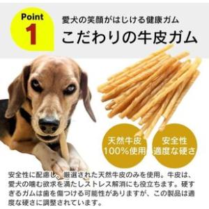 ふるさと納税 くいしんぼ デンタルガム 棒型 ...の詳細画像1