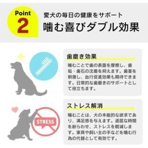 ふるさと納税 プレミアム長持ちおやつ 犬用(サ...の詳細画像2