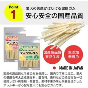 ふるさと納税 からだにやさしいデンタルガム 小...の詳細画像1