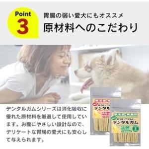 ふるさと納税 からだにやさしいデンタルガム 小...の詳細画像3