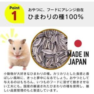 ふるさと納税 わが家のプチアイドル ひまわりの...の詳細画像1