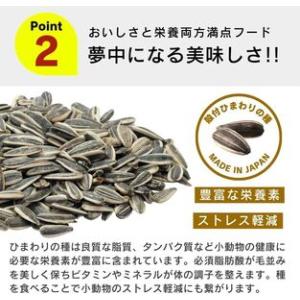 ふるさと納税 わが家のプチアイドル ひまわりの...の詳細画像2