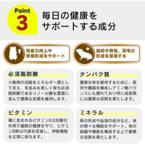 ふるさと納税 わが家のプチアイドル ひまわりの...の詳細画像3