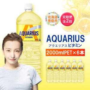 ふるさと納税 【定期便：全2回】アクエリアス ビタミン 2LPET×6本【38008601】 北海道恵庭市