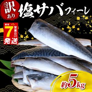 ふるさと納税 訳あり さば 塩鯖約5kg規格外 サバ 旭市 千葉県旭市