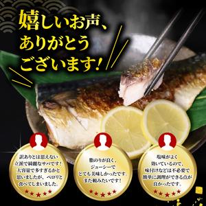 ふるさと納税 訳あり さば 塩鯖約5kg規格外...の詳細画像2