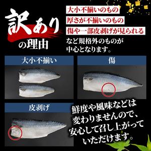 ふるさと納税 訳あり さば 塩鯖約5kg規格外...の詳細画像3