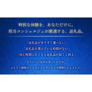ふるさと納税 石巻 コンシェルジュプラン 50...の詳細画像1