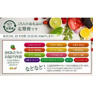 ふるさと納税 【全12回定期便】旬のフルーツ ...の詳細画像1