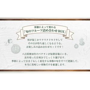 ふるさと納税 【全12回定期便】旬のフルーツ ...の詳細画像2