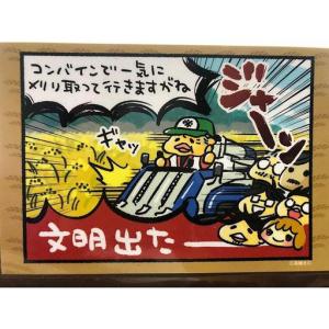 ふるさと納税 【6回定期便】 R8年度産 特別...の詳細画像3