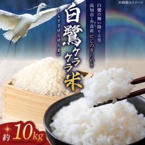 ふるさと納税 農薬節減！ R8年度産 特別栽培米 白鷺ケラケラ米 にじのきらめき 約10kg 〈2026年9月中旬~発送〉 / 高知 米 お米 精米 　【津ノ宮.. 高知県高知市