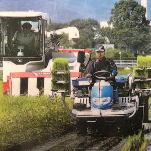ふるさと納税 農薬節減! R8年度産 特別栽培...の詳細画像2