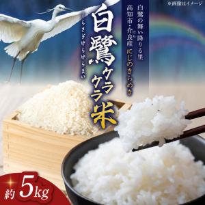 ふるさと納税 農薬節減！ R8年度産 特別栽培米 白鷺ケラケラ米 にじのきらめき 約5kg 〈2026年9月中旬~発送〉 / 高知 米 お米 精米 　【津ノ宮農.. 高知県高知市