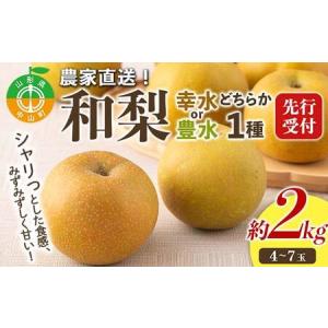ふるさと納税 【2026年先行予約】農家直送「和梨」約2kg 中山町 渡辺ファーム 山形県産 梨 なし ナシ 果物 くだもの フルーツ F4A-0954 山形県中山町