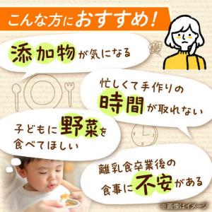 ふるさと納税 【全12回定期便】冷凍幼児食あむ...の詳細画像2