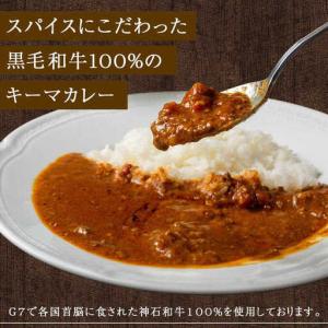 ふるさと納税 黒毛和牛キーマカレー10袋 6回...の詳細画像1