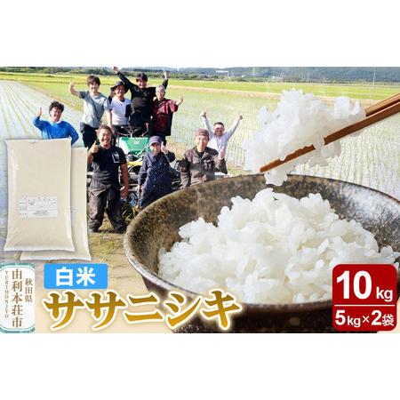 ふるさと納税 【白米】秋田県由利本荘市産 ササニシキ 10kg（5kg×2袋）令和6年産 秋田県由利...