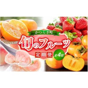 ふるさと納税 フルーツ 定期便 フルーツ 4回 果物 和歌山【kgr025】 和歌山県すさみ町｜ふるなび(ふるさと納税)