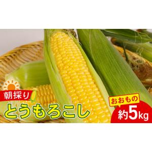ふるさと納税 とうもろこし おおもの 5kg 【先行予約】 トウモロコシ 千葉県銚子市