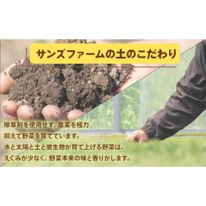 ふるさと納税 とうもろこし おおもの 5kg ...の詳細画像1