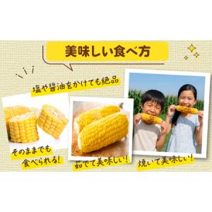 ふるさと納税 とうもろこし おおもの 5kg ...の詳細画像2