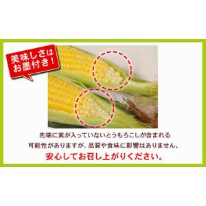 ふるさと納税 とうもろこし おおもの 5kg ...の詳細画像3