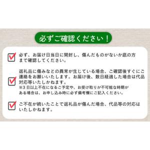 ふるさと納税 とうもろこし おおもの 5kg ...の詳細画像4