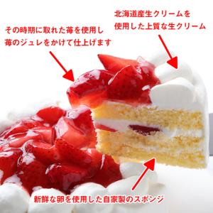 ふるさと納税 イチゴのデコレーションケーキ シ...の詳細画像1