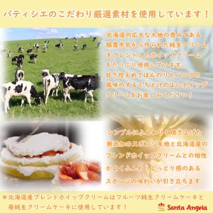 ふるさと納税 イチゴのデコレーションケーキ シ...の詳細画像2