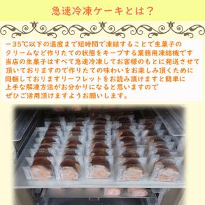 ふるさと納税 イチゴのデコレーションケーキ シ...の詳細画像3