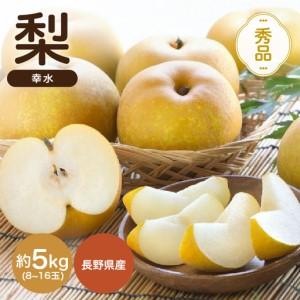 ふるさと納税 南信州産 幸水 約5kg 秀品 ＜2026年8月下旬〜順次発送＞ ＪＡみなみ信州ＤＭセンター飯田市 長野県飯田市