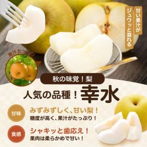 ふるさと納税 南信州産 幸水 約5kg 秀品 ...の詳細画像1