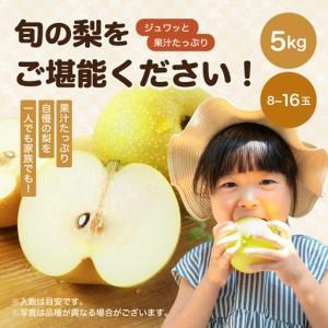 ふるさと納税 南信州産 幸水 約5kg 秀品 ...の詳細画像2