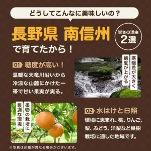 ふるさと納税 南信州産 幸水 約5kg 秀品 ...の詳細画像3